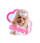 かわいい挨拶スタンプ〜kuuu〜（個別スタンプ：7）