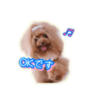 かわいい挨拶スタンプ〜kuuu〜（個別スタンプ：9）