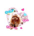 かわいい挨拶スタンプ〜kuuu〜（個別スタンプ：11）
