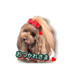 かわいい挨拶スタンプ〜kuuu〜（個別スタンプ：12）