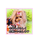 かわいい挨拶スタンプ〜kuuu〜（個別スタンプ：15）
