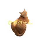 ネコ ＋ 1 = 神（個別スタンプ：13）