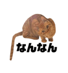 ネコ ＋ 1 = 神（個別スタンプ：14）