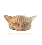 ネコ ＋ 1 = 神（個別スタンプ：20）