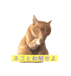 ネコ ＋ 1 = 神（個別スタンプ：26）