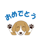 ビーグルと柴のミックス犬KABUスタンプ♪（個別スタンプ：2）
