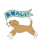 ビーグルと柴のミックス犬KABUスタンプ♪（個別スタンプ：6）