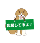 ビーグルと柴のミックス犬KABUスタンプ♪（個別スタンプ：9）
