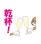 ビーグルと柴のミックス犬KABUスタンプ♪（個別スタンプ：12）