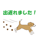 ビーグルと柴のミックス犬KABUスタンプ♪（個別スタンプ：13）