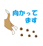 ビーグルと柴のミックス犬KABUスタンプ♪（個別スタンプ：15）