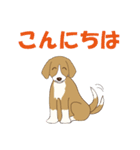 ビーグルと柴のミックス犬KABUスタンプ♪（個別スタンプ：17）