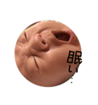 otopiスタンプ（個別スタンプ：14）