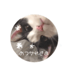 リズとスタンプ（個別スタンプ：2）