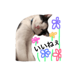 リズとスタンプ（個別スタンプ：3）