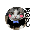 しるたん3 (ほっぺた猫ちゃん)（個別スタンプ：30）