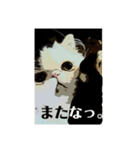 アンニュイな大福2（個別スタンプ：10）
