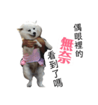 日本スピッツLulu（個別スタンプ：22）