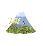 素敵な富士山（個別スタンプ：1）