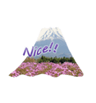 素敵な富士山（個別スタンプ：3）