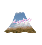 素敵な富士山（個別スタンプ：5）
