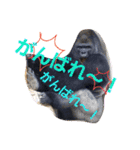 どうぶつの頷き（個別スタンプ：22）