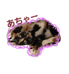 どうぶつの頷き（個別スタンプ：36）