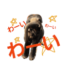 どうぶつの頷き（個別スタンプ：39）