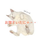 うちのアルたん（個別スタンプ：6）