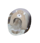 aiken-mayu（個別スタンプ：7）