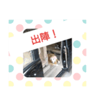 ゴー(犬)＆ミー(猫)（個別スタンプ：5）