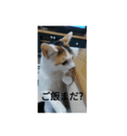 なつめちゃん♡（個別スタンプ：5）