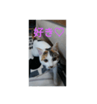なつめちゃん♡（個別スタンプ：6）