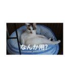 なつめちゃん♡（個別スタンプ：7）
