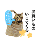 ねこ。P＆R（個別スタンプ：6）