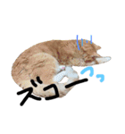 ねこ。P＆R（個別スタンプ：17）