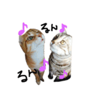ねこ。P＆R（個別スタンプ：32）