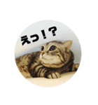 ねこ。P＆R（個別スタンプ：34）