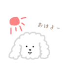 プードルのモコくん（個別スタンプ：1）
