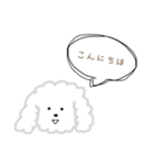 プードルのモコくん（個別スタンプ：2）