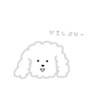 プードルのモコくん（個別スタンプ：3）