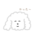プードルのモコくん（個別スタンプ：5）