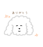 プードルのモコくん（個別スタンプ：6）