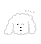 プードルのモコくん（個別スタンプ：7）