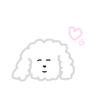 プードルのモコくん（個別スタンプ：8）
