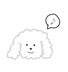 プードルのモコくん（個別スタンプ：10）