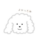 プードルのモコくん（個別スタンプ：11）