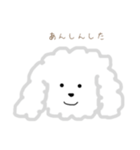 プードルのモコくん（個別スタンプ：12）