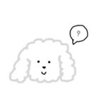 プードルのモコくん（個別スタンプ：13）
