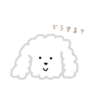 プードルのモコくん（個別スタンプ：16）